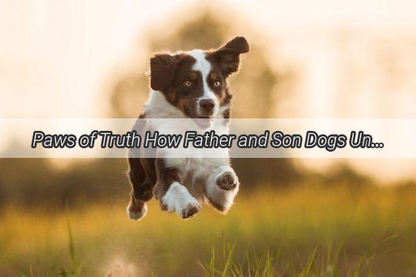 Paws of Truth How Father and Son Dogs Unveil the Unvarnished Reality of Unspoken Bonds